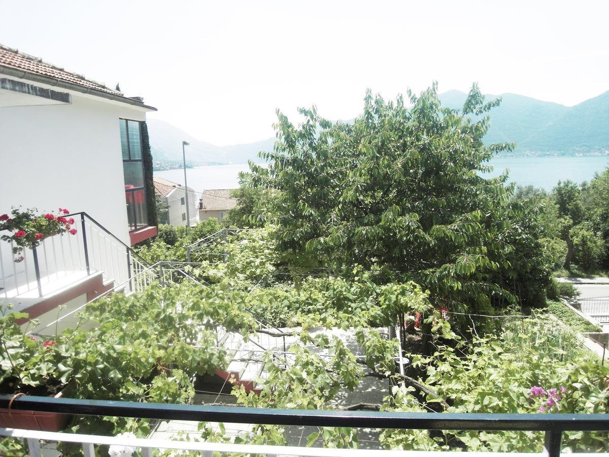 Apartment Ivana Kotor Exterior photo