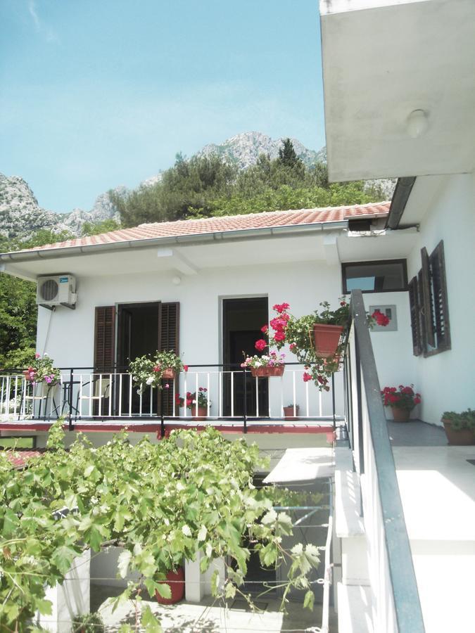 Apartment Ivana Kotor Exterior photo
